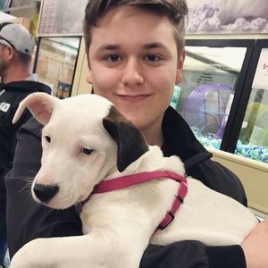 Meet your Posher, Bailey